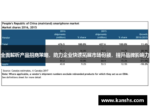 全面解析产品招商策略，助力企业快速拓展市场份额，提升品牌影响力